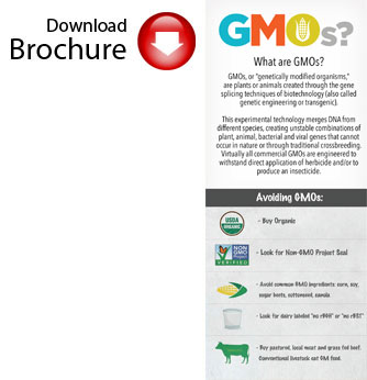 GMObrochure2